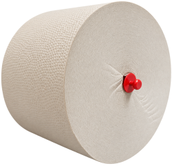 SP HYGIENE SYSTEM – WC PAPERIRULLA, KIERRÄTYSMATERIAALI 100 M
